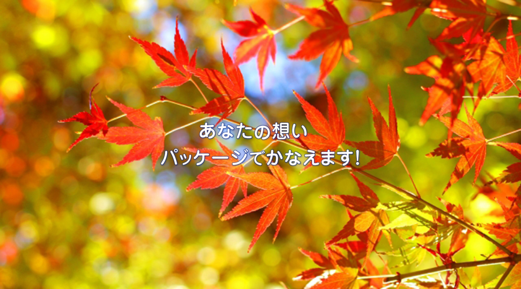 メインビジュアル